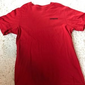 Patagonia Mens t-shirt